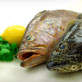 fish-1-thumb.jpg